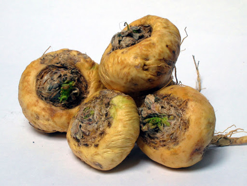 Сила за Него и Нея 120 капсули на отлична цена от Sanct Bernhard ефродизиак, подобряващ общото здравословно състояние