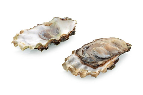 Oysters Maca 120 capsules на топ цена от Sanct Bernhard класически афродизиак, който има успокояващ ефект върху човешката нервна система