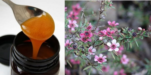 Мед от Манука UMF 15+ 250 гр на отлична цена от Happy Valley има невероятно силно антиоксидантно, противовъзпалително и антибактериално действие