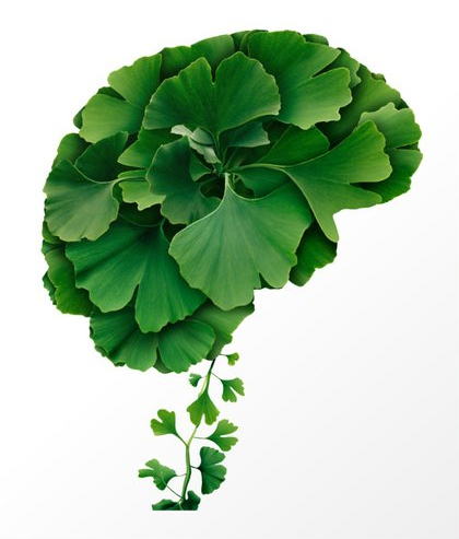 Gold Витамини от А до Я 60 таблетки на супер цена от Doctor Nature допринася за достигането на повече кислород и хранителни вещества до мозъка