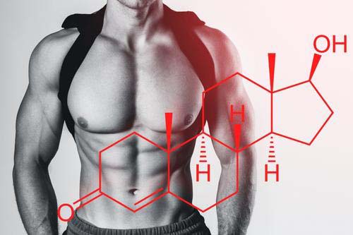 Tristen 50 капсули на добра цена от NaturPharma по естествен начин повишава нивото на тестостерон