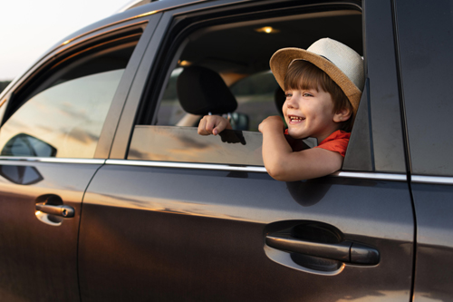 Kids Tummy Soothe за деца 60 дъвчащи таблетки на топ цена от Nature's Way облекчава симптомите на болест на пътуването