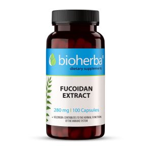 Fucoidan Extract 480 мг 100 капсули | Bioherba