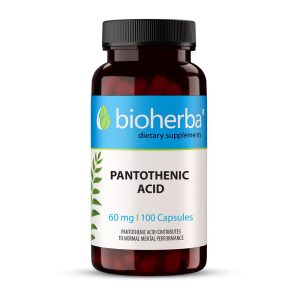 Pantotenic Acid (Vitamin B5) 60 мг 100 капсули | Bioherba