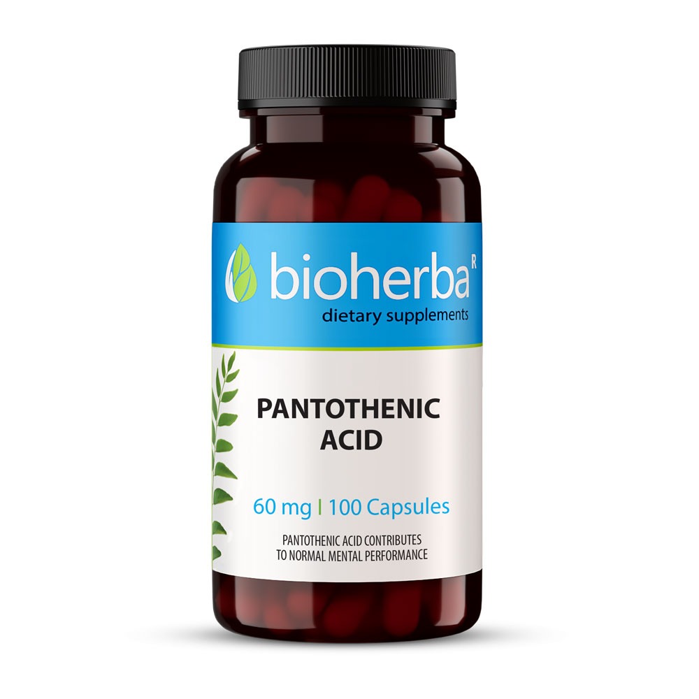 Pantotenic Acid (Vitamin B5) 60 мг 100 капсули | Bioherba