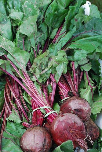 Beet Root Powder 150 гр на супер цена от Nature's Way детоксикира организма