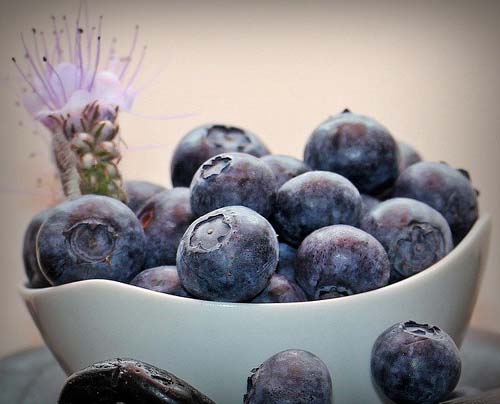 Bilberry 25% Anthocyanidins 90 капсули на страхотна цена от Natural Factors при проблеми със зрението, нощна слепота и умора на очите