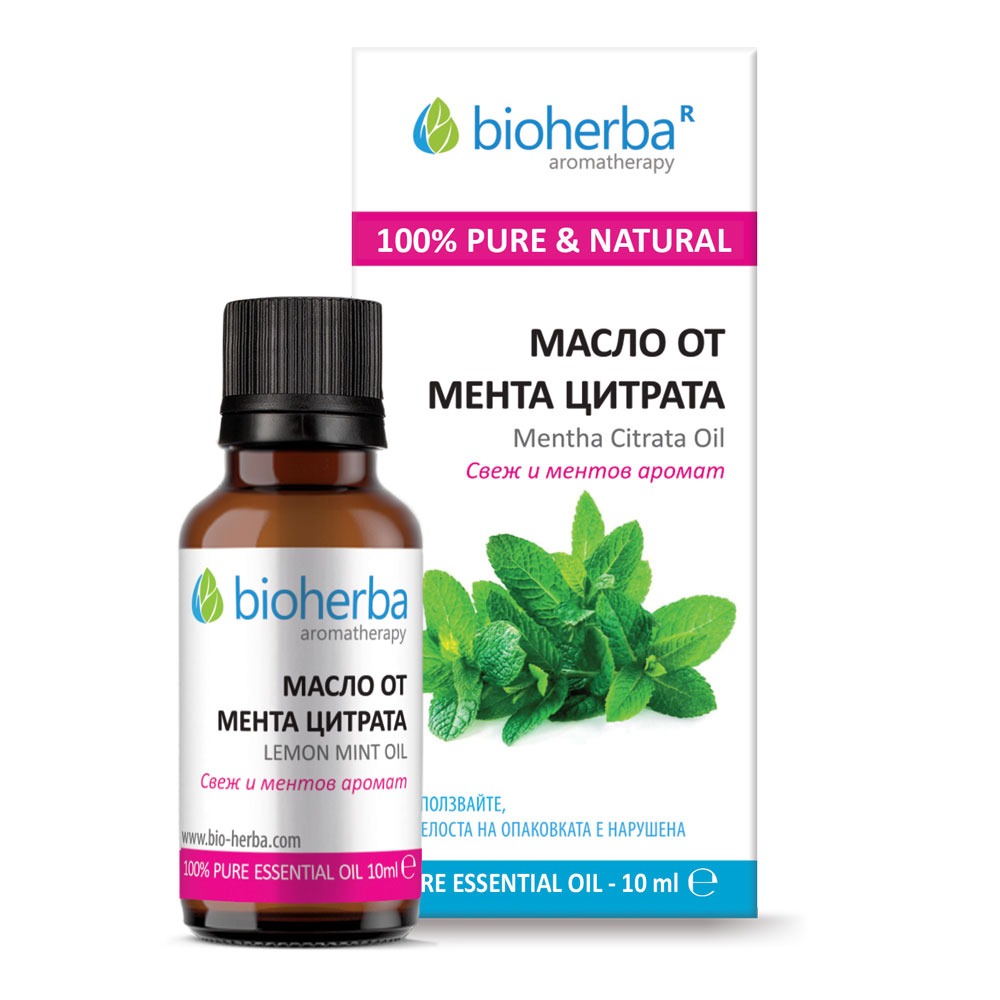 Mint Oil (Mentha Citrata) 10 мл | Bioherba