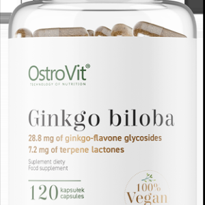 Ginkgo Biloba 120 мг 120 веге капсули | OstroVit