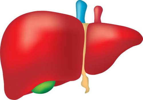 Complete Liver Cleans 84 капсули на супер цена от Nature's Way подкрепя здравето на черния дроб