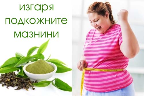 Green Tea 500 мг 60 вегетариански капсули на супер цена от Biovea изгаря подкожните мазнини