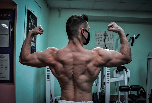 Трибулус Алатус на топ цена увеличава мускулната маса, либидото.