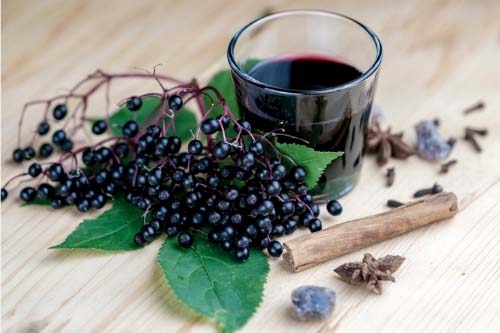 Highly Concentrated Elderberry 15:1 Extract 60 веге капсули на супер цена от Jarrow Formulas повишава имунитета