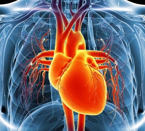 K-Right 60 гел-капсули на чудесна цена от Jarrow Formulas насърчава здравето на сърцето