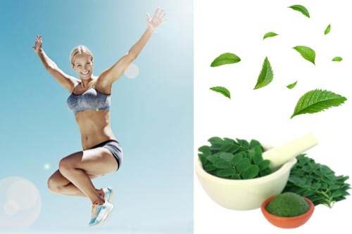 Green Milk mit Matcha und Moringa 120 гр на отлична цена от Barbel Drexel е нискокалориен източник на енергия