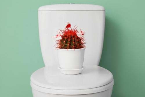 Hamo akut mit Hamamelis Spray 50 мл на топ цена от Barbel Drexel облекчава сърбежа и паренето