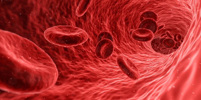 Diosmex 30 капсули на ниска цена от Doctor's Formulas допринася за нормалното функциониране на венозната система и кръвообращението.