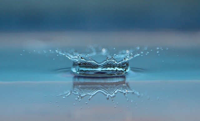 Water Pill 2-in-1 Formula 120 капсули на ниска цена от Swanson изхвърля излишната течност извън тялото.