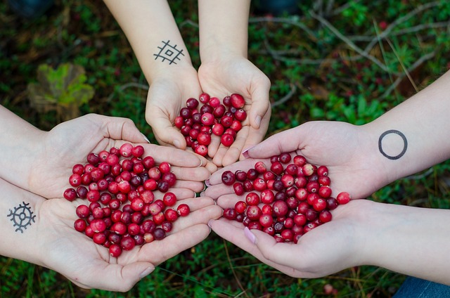 Organic Cranberry Juice 750 мл на ниска цена от Mattisson Healthstyle се грижи за здравето на сърцето.