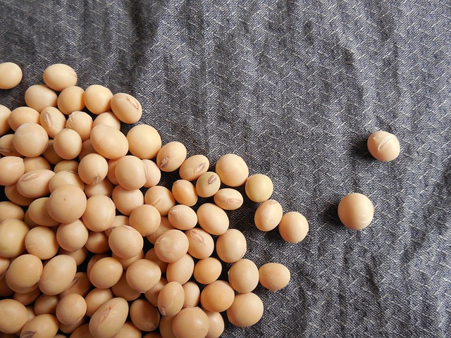 Absolute Soy Lecithin 1200 мг 90 капсули на ниска цена от Mattisson Healthstyle се спомага здравето на сърцето и сърдечния ритъм.