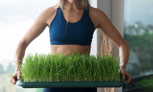 Био Пшеничена Трева на таблетки е натурален продукт за подпомагане детосикацията на организма.