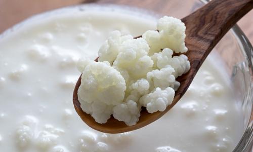 Кефир За Имунитет и Храносмилателна Система капсули е натурален продукт за подкрепа за сърдечно-съдовата и нервната система.
