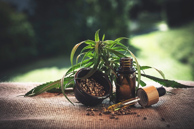 Bio Hemp Seed Oil 250 мл на идеална цена от Mattisson Healthstyle е органично масло, без THC и CBD, което спомага за поддържането на здравето на сърцето.
