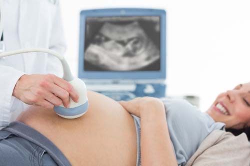 Prenatal Protein Powder Natural Flavor 500 гр на добра цена от Pregnaco подпомага растежа на плода