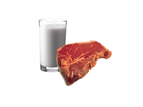 CLA от Bulgaricus е антиканцерогенно средство и намалява мастните депа