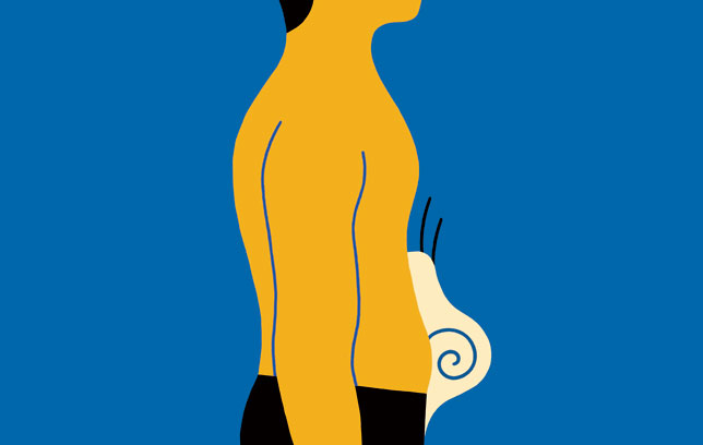 CLA на страхотна цена забързва метаболизма и се бори с холестерола